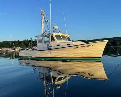 Oyster Farm Tour in South Freeport