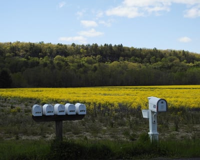 3-Hour Hudson Valley Farm Tour