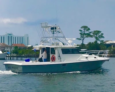 Catch Gulf Fish on Custom 3 to 8 Hour Trip