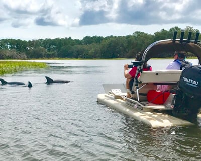 Drive Your Own Guided Dolphin Boat Tour in Hilton Head