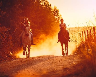 7-Hour Horseback Trail Ride in Taylor Canyon
