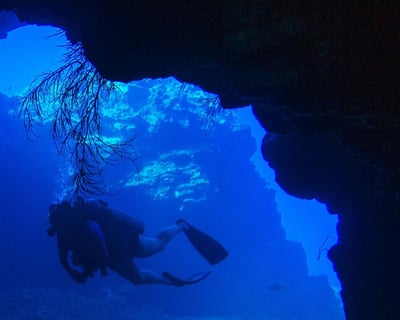 Lana'i Cathedrals 2-Tank Guided Dive