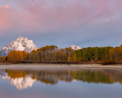 Grand Teton Wildlife & Stargazing Tour