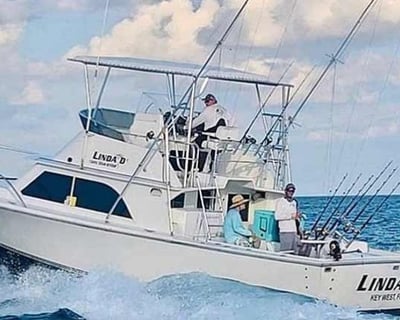 Fish On a Private Charter in Key West