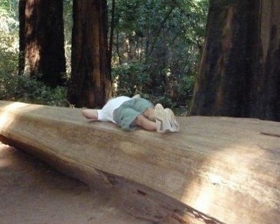 Private Muir Woods and Sausalito Tour