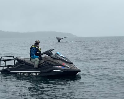 3-Hour Guided Jet Ski Tour in Juneau