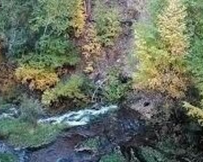 Private Spearfish Canyon Hike