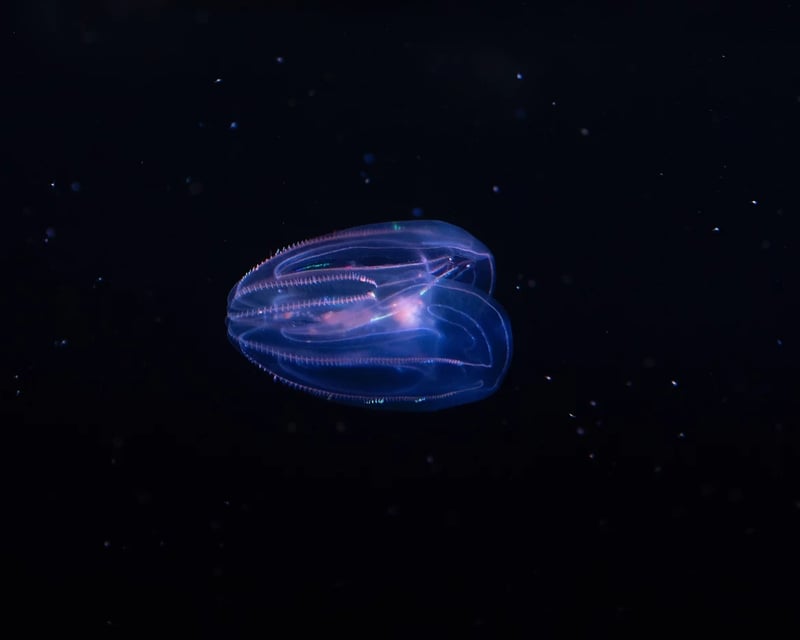 Addon image