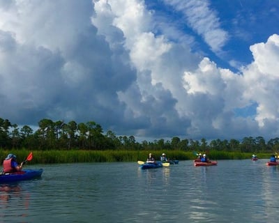 Guided Salt Marsh Ecology Kayak Tour in Beaufort