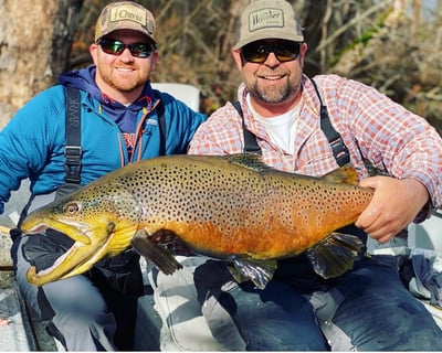 Guided Trout Fishing Float on South Holston River