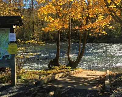 Upper Jackson River Paddle Trip: Indian Draft To Intervale