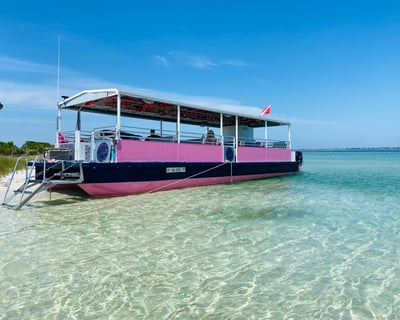Bachelorette Cruise in Orange Beach With Swimming