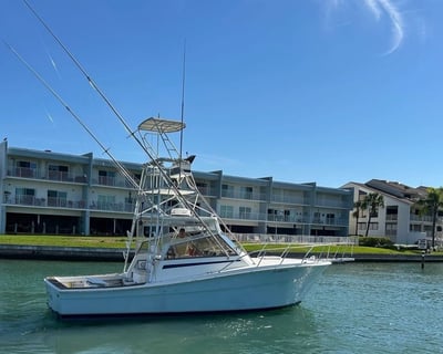 4- Or 6-Hour Gulf Fishing Charter in St. Petersburg