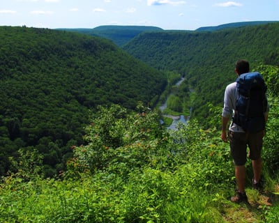 Ride a Shuttle to Rattlesnake Rock From Ansonia