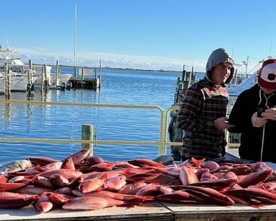 Pensacola 6-Hour Wreck Fishing Charter