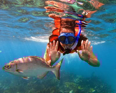 Key Largo Two-Reef Snorkel Tour with Equipment Included