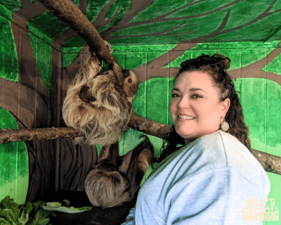 Sloth Meet & Greet in North Georgia