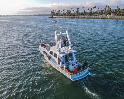 San Diego 8-Hour Ocean Exploration Charter