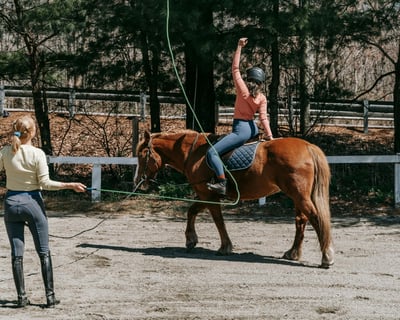 4-Hour Horsemanship Lesson & Ranch Games in Williams