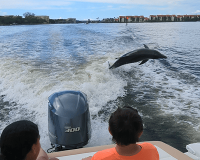 6-Hour Private Boat Charter in Siesta Key