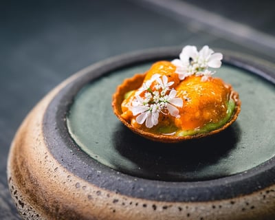 Sonoma Wine & Dine Tour