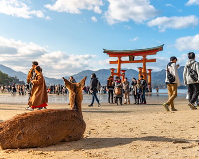 Guided Tour of Hiroshima & Miyajima With Itsukushima Shrine