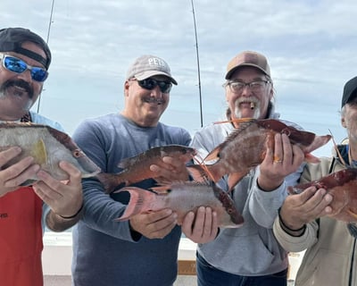 4-Hour Deep Sea Fishing Charter in Hernando Beach