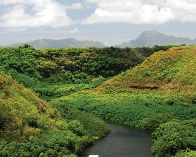 Tour Waimea Canyon & Wailua River From Oahu