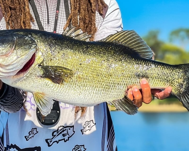 Private Bass Fishing Charter in Orlando