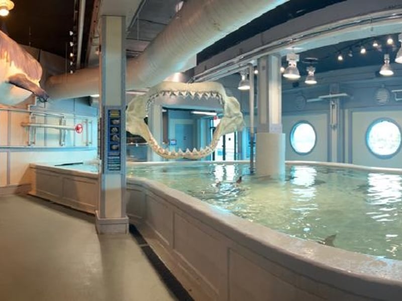 Gallery image 5