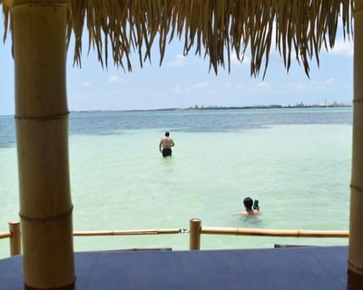 Swim Stop Cruise in Key West