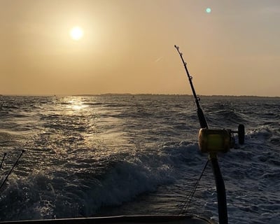 4-Hour Trolling Fishing Charter From Panama City