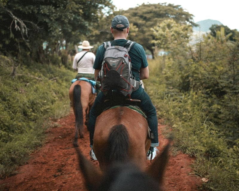 Junior Horseback Riding Lesson for Kids in Sayreville