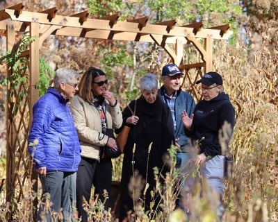 Summer Naturalist Walk at Bowman's Hill Wildflower Preserve