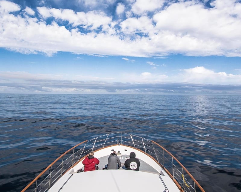 Full-Day Monterey Bay Whale Watching from Moss Landing