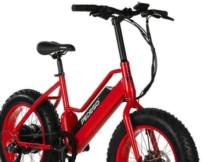 Full-Day E-Bike Rental on Amelia Island