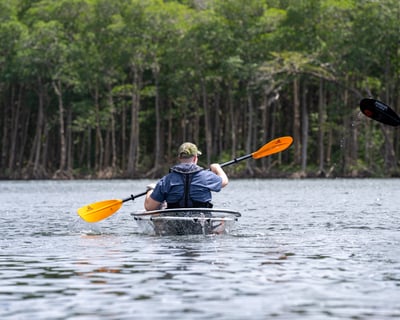 Guided Clear Kayak Tour of Miami Mangrove Tunnels