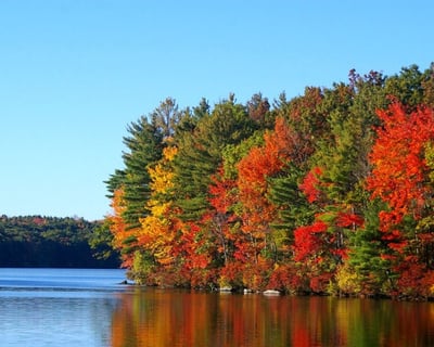 Private Fall Foliage Pontoon Cruise in New Milford