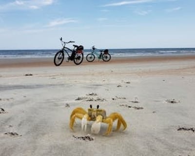 Daytona Beach Hourly E-Bike Rental