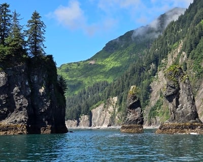 Private Resurrection Bay Cruise From Seward