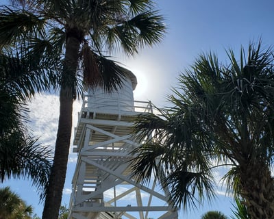 Cabbage Key Island Getaway Boat Tour