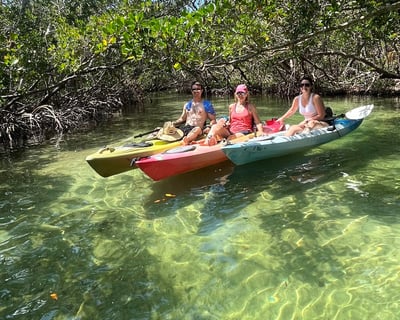 Guided Mangrove Tunnel Kayak Tour In Sarasota