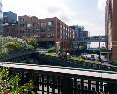 Explore The High Line History Walking Tour in NYC