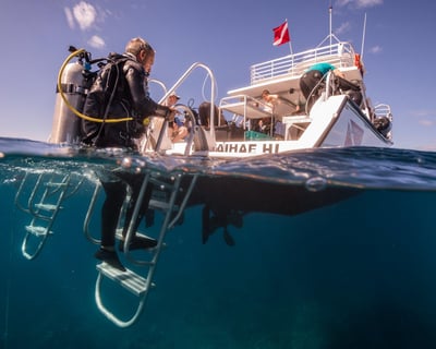 6-Hour Two-Site Dive & Snorkel Tour in Kawaihae