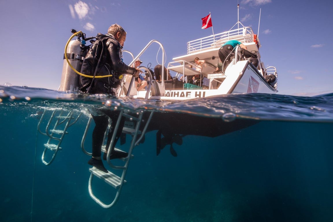 6-Hour Two-Site Dive & Snorkel Tour in Kawaihae