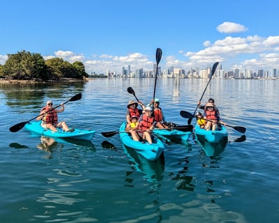 Manatee Wildlife Paddle with Skyline Views