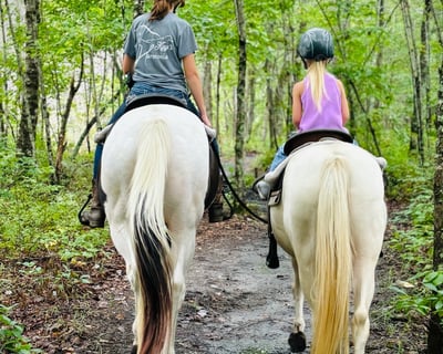 Suffolk Horseback Trail Ride & Petting Zoo
