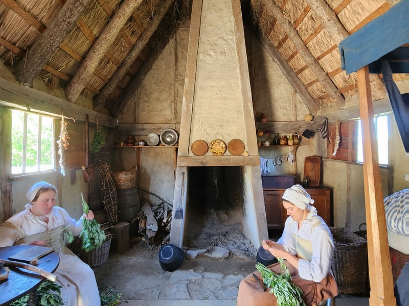 Gallery image 2