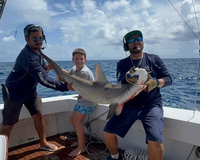 Miami Beach Shark Fishing Charter
