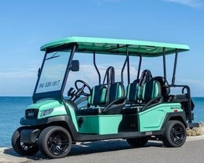 Street-Legal Electric Golf Cart Rental in Sarasota